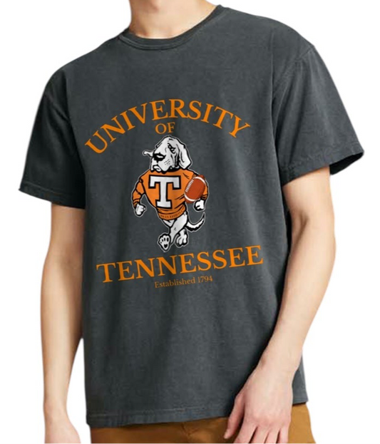 UT and Smokey