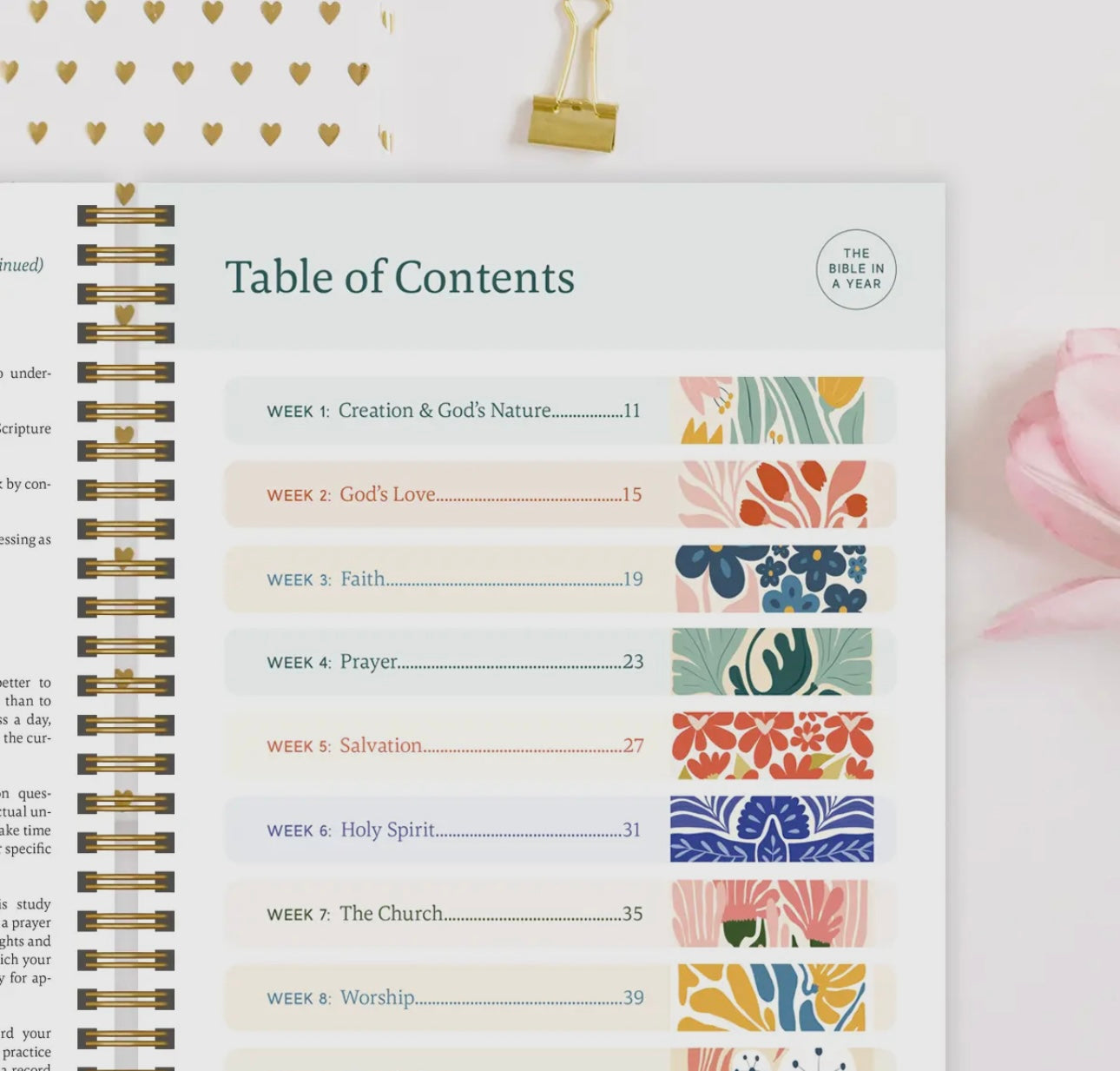 Preorder The Bible in a Year- A 52 week Study