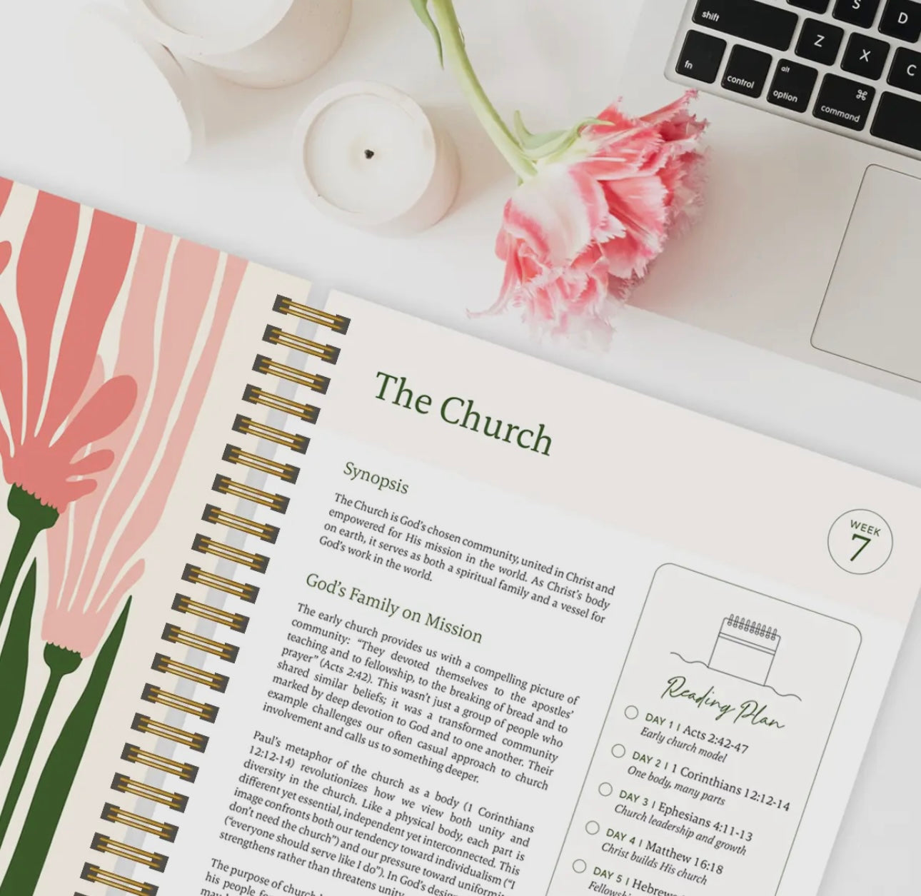 Preorder The Bible in a Year- A 52 week Study