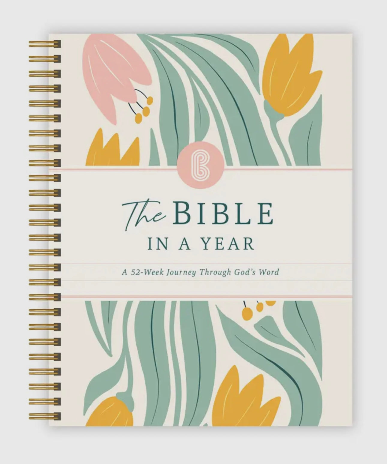 Preorder The Bible in a Year- A 52 week Study