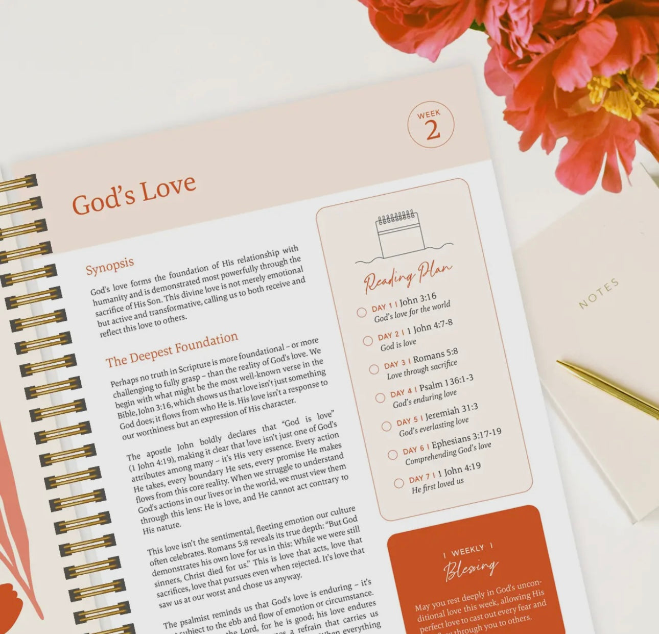 Preorder The Bible in a Year- A 52 week Study