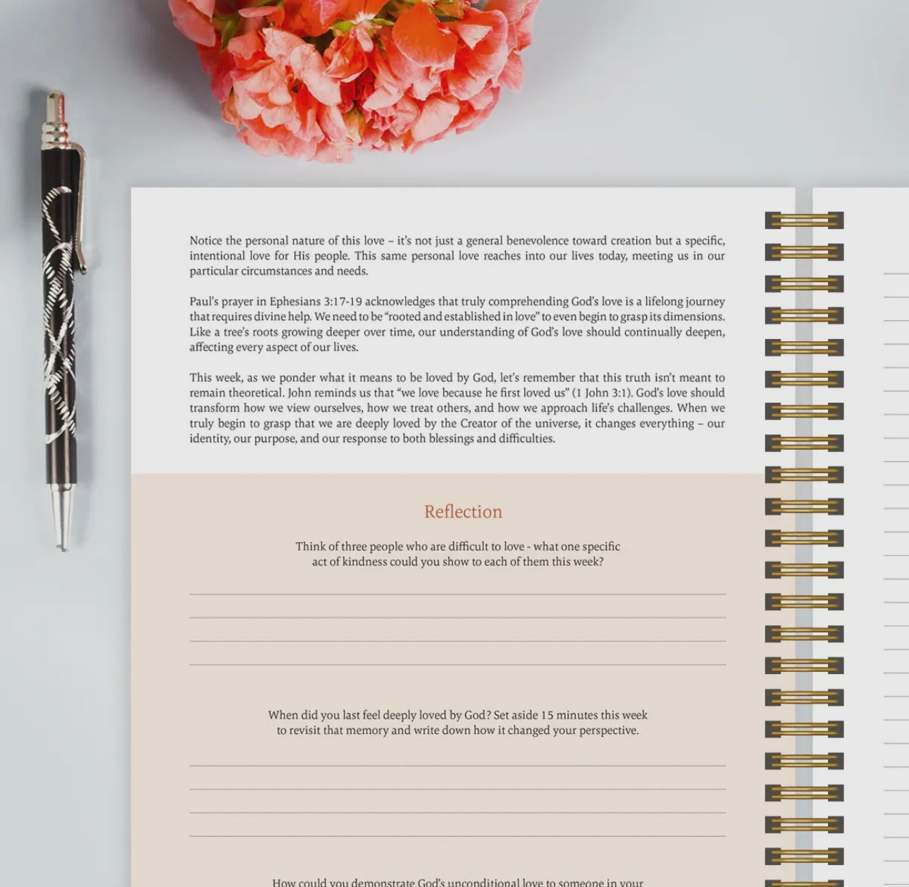 Preorder The Bible in a Year- A 52 week Study