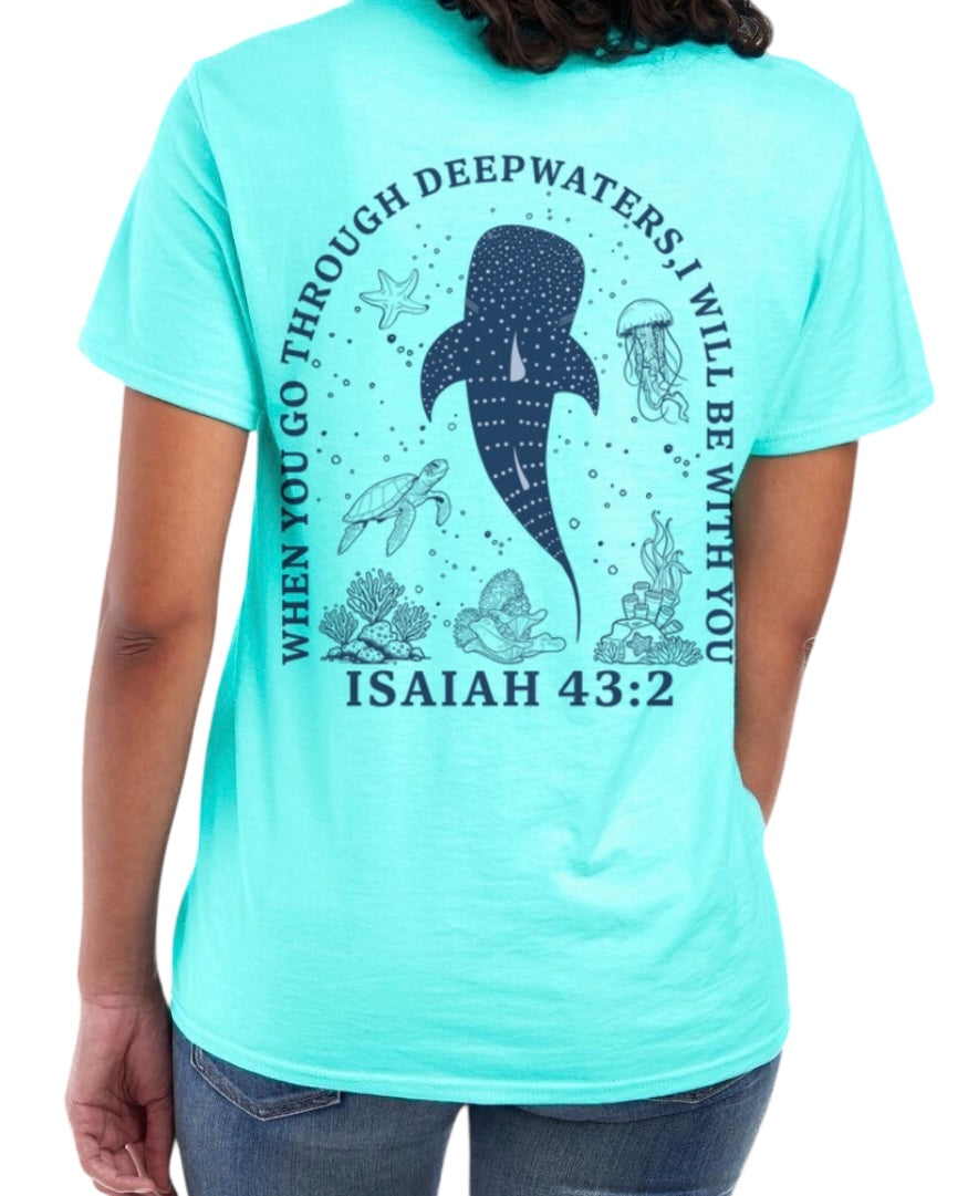 Isaiah 43:2